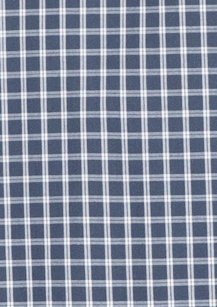 Noah Womens Long Sleeve Shirt Storm Blue/White Check